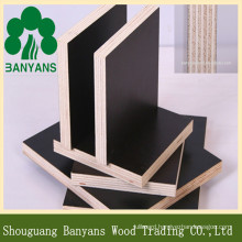 18mm Black Film Faced Plywood Price for Constructional Usage